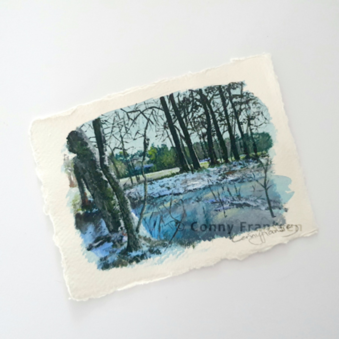 Winter bij de Dopheidedreef