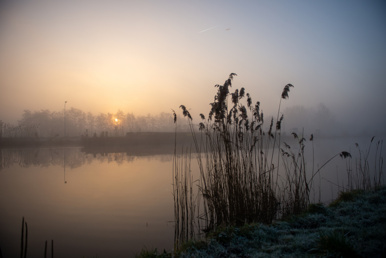 Riet en zonsopkomst in de Hollandse polder te Lisse