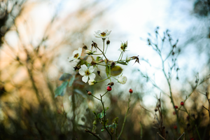 Foto galerie van alles wat ik graag fotografeer.