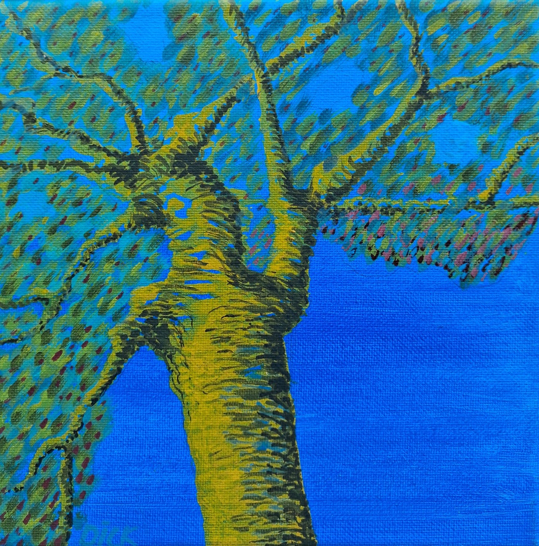 Spiegeldbeeld bomen