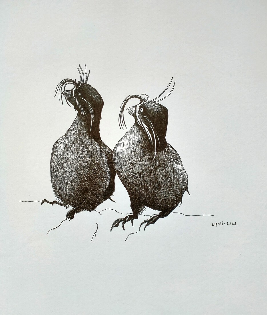 Twee geoorde dwergalken