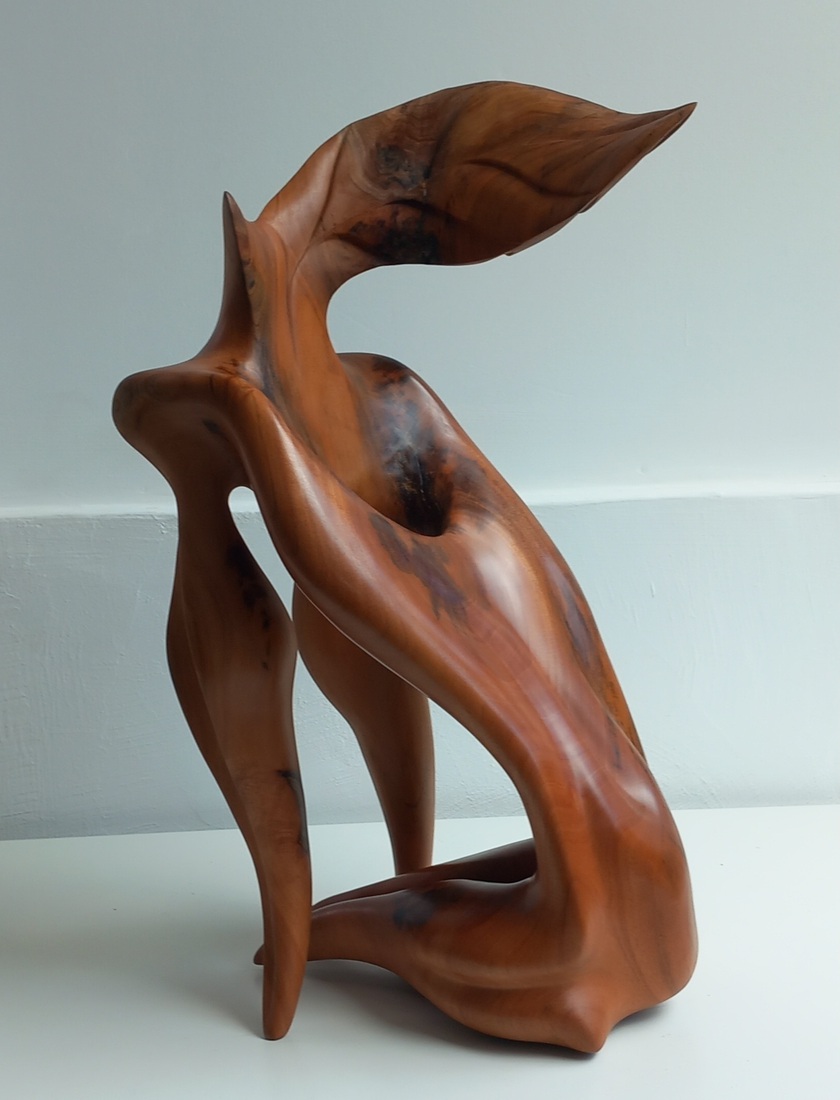 Corazon en la Montana