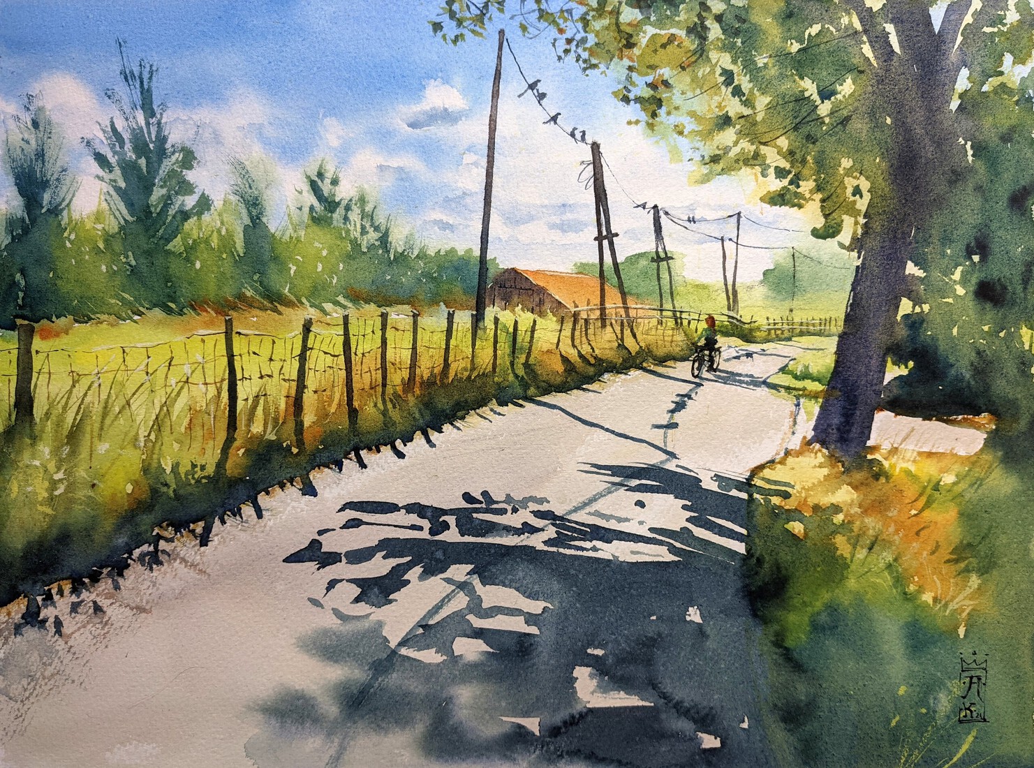 Fietsen in de Nazomer