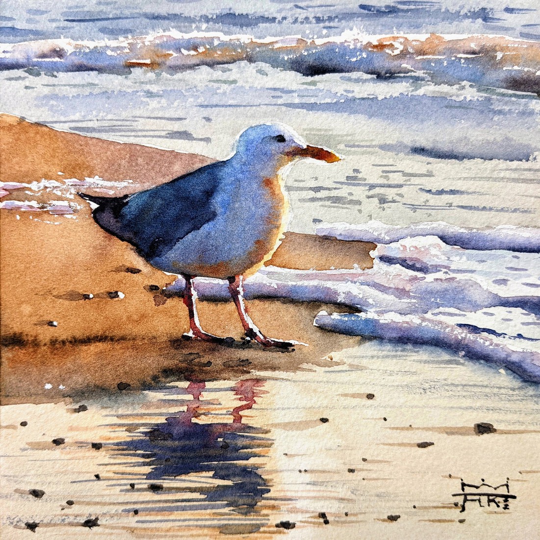 Zeemeeuw op het Strand