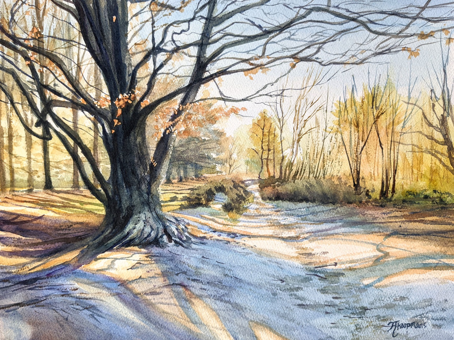 Vroege Lente, Kaapse Bossen