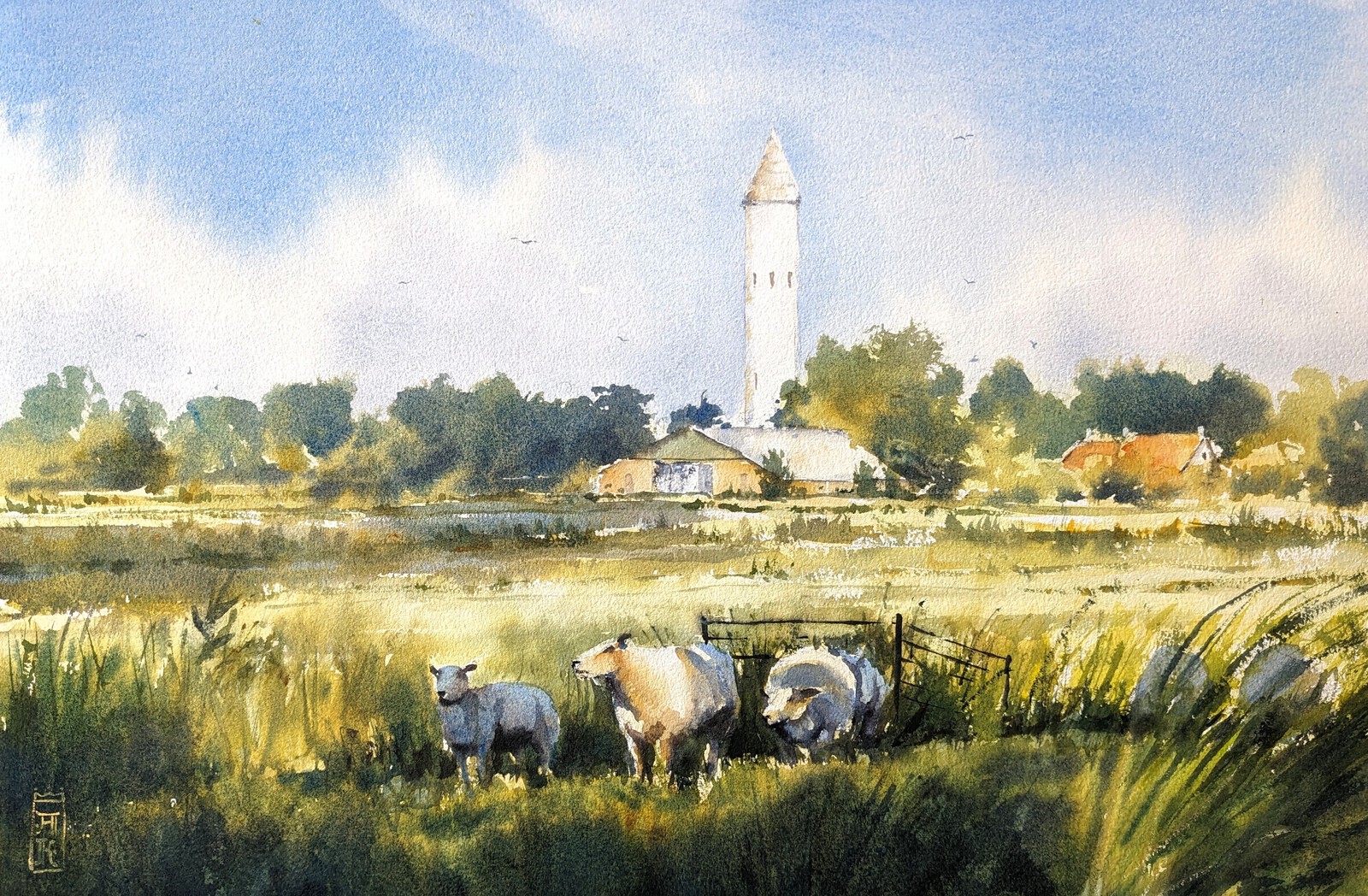Schapen in de Meije
