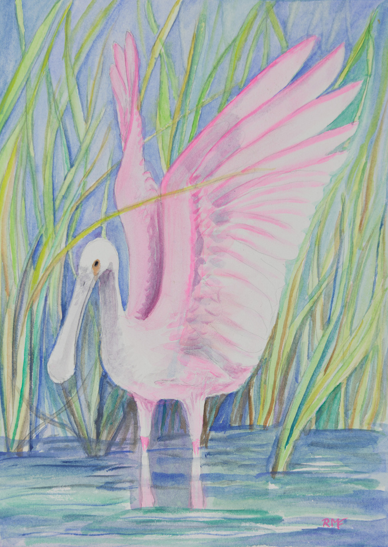 Roze lepelaar in water met gras