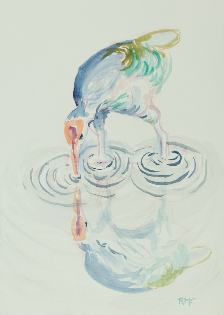 kleine reiger in het water met cirkels