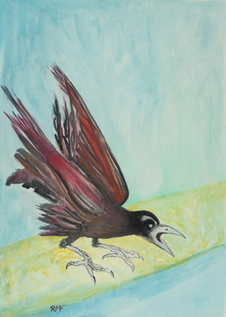 Kraai krast naar jou