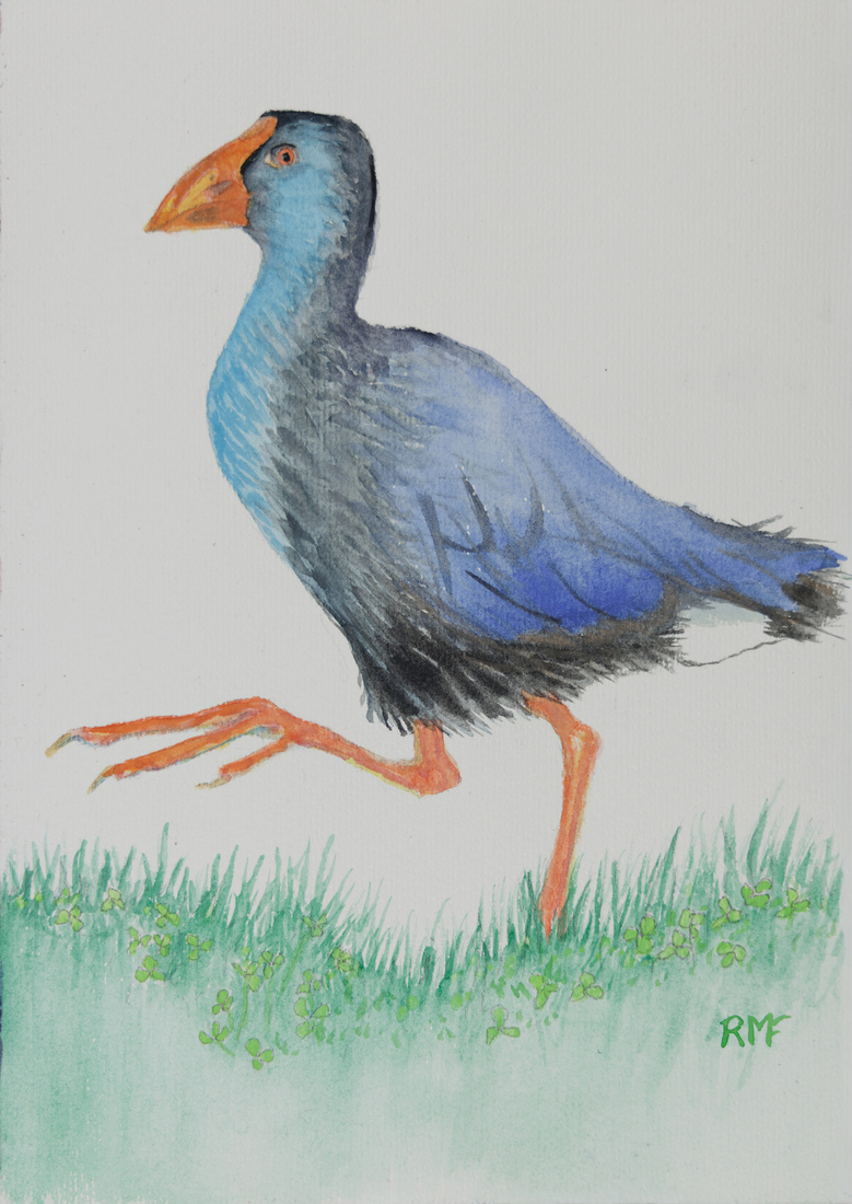 One big step for bird