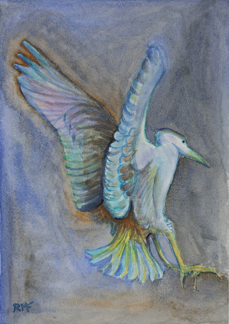 Reiger vliegt in het donker