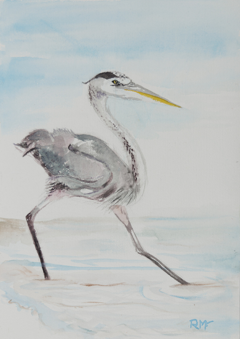 Trotse jonge reiger stapt 