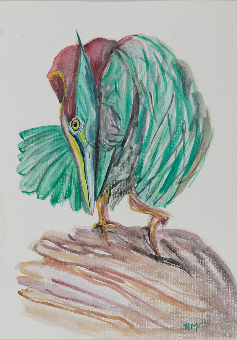 Purperreiger schikt verenkleed