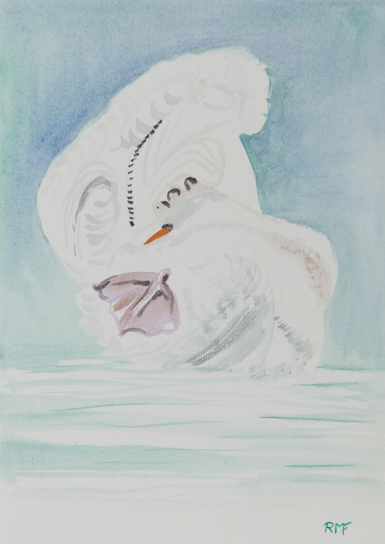 Zwaan schikt zich de veren