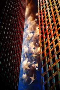 Dreamy, surreal photographs that take you to a new world.