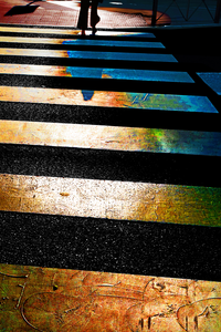 Colorful images of zebras, yet in a different world.