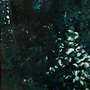 Inspired by images from nature