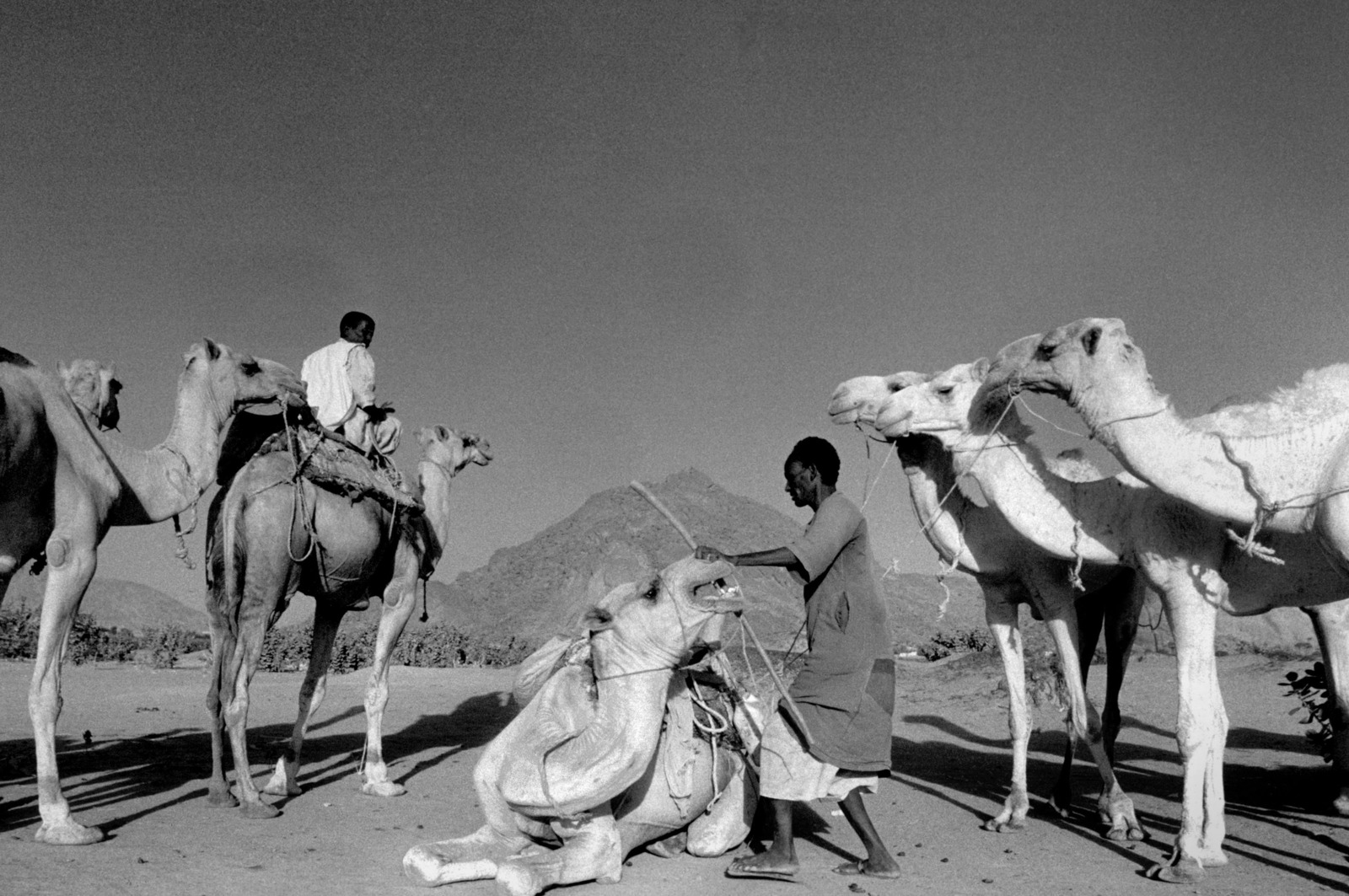 Sudan, Kassala province 1987