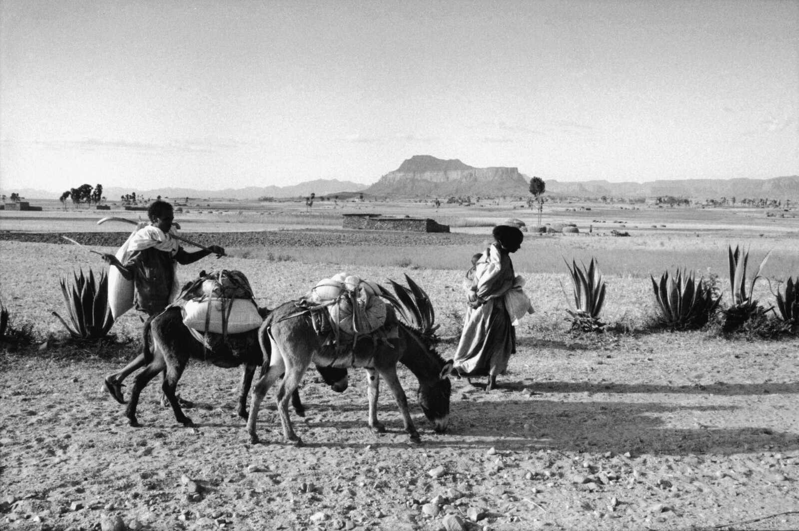 Ethiopië, Tigray 1990