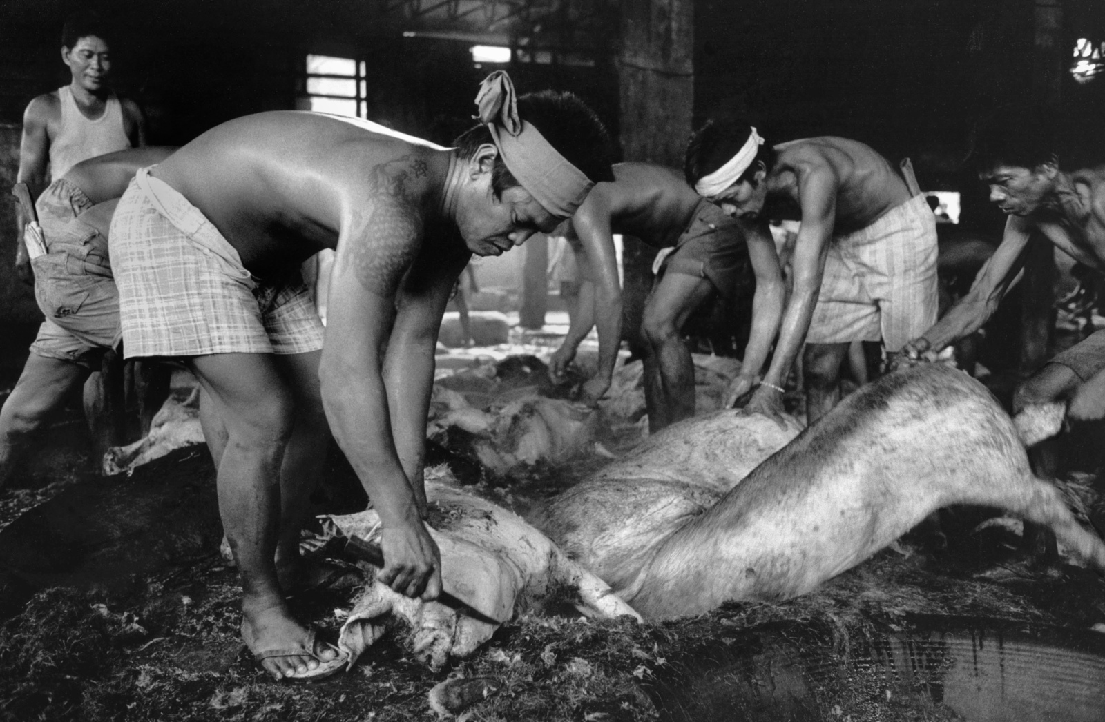 The Phillipines, Cebu Island 1993