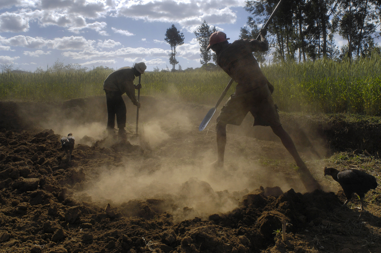 Madagascar, Vakinankaratra province, Ambona