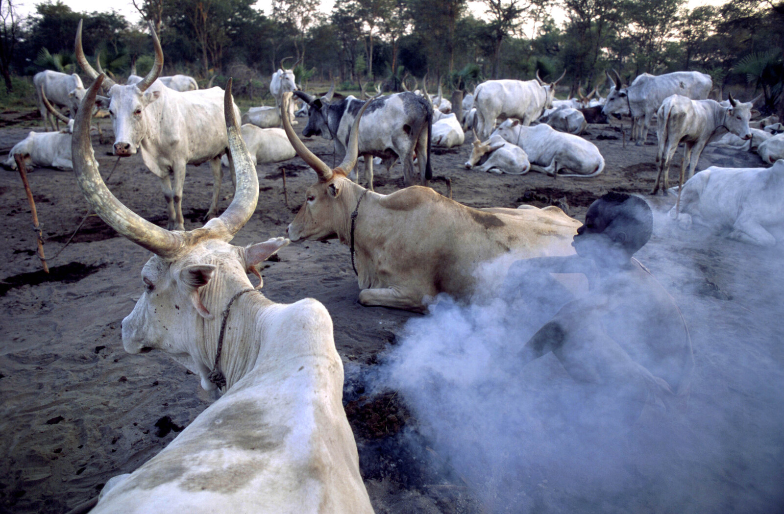 South Sudan, Lakes Province, Rumbek 2000