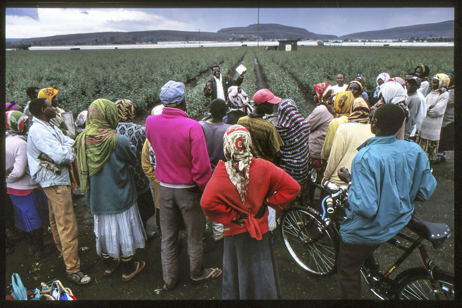 Kenya, Rift Valley, Naivasha 2000