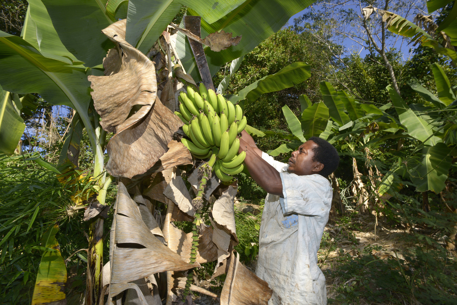 Madagascar, Entourembe 2015