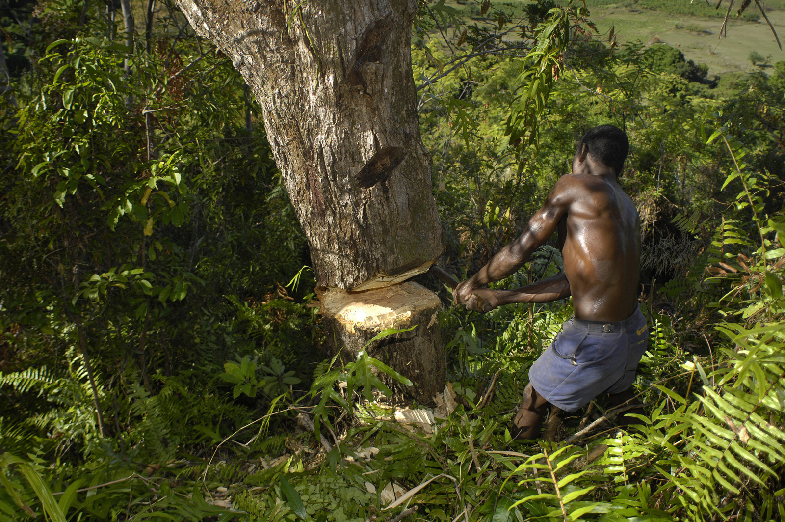 Madagascar, Nosy Be