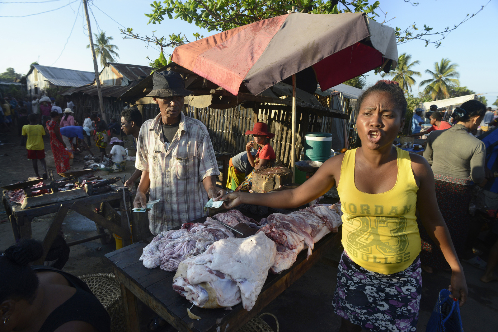 Madagascar, Boeny, Amboromalandy 2018