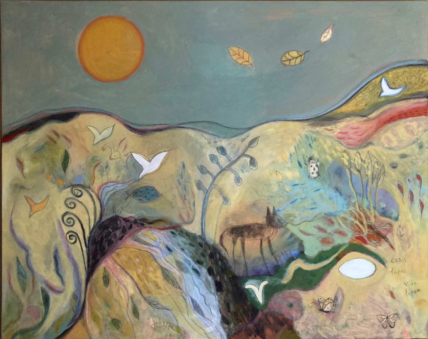 Wolf op de Holterberg