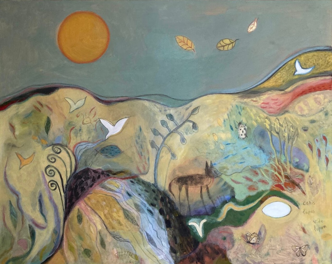 Wolf op de Holterberg