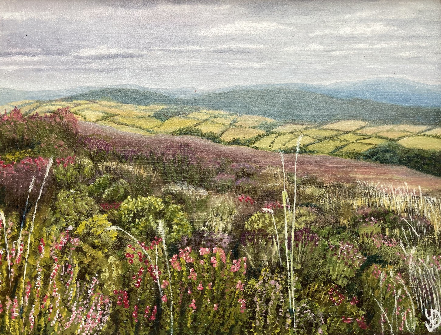 Exmoor National Park