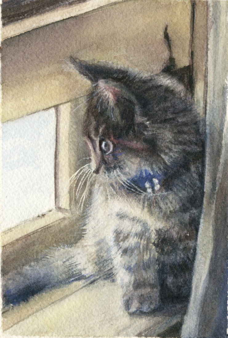 Kitten in safe space