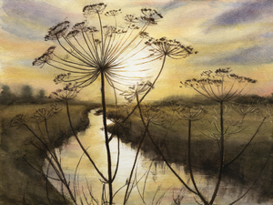 Landschappen zijn fijn om te aquarelleren, vooral om de sfeer die op dat moment buiten heerst vast te leggen. Het frisse ochtendlicht, mist, of juist een warme avondzon. Vaak heeft een object de focus, zoals een berenklauw, een distel of een hek. En soms gaat het om het gehele (verge)zicht. 
Ook leg ik graag herinneringen vast, zoals in vakanties in Zuid-Frankrijk. 