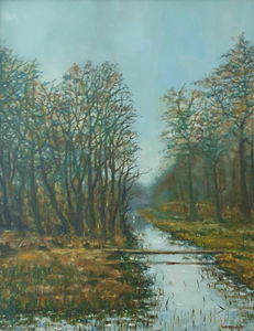 Polders, bos en hei