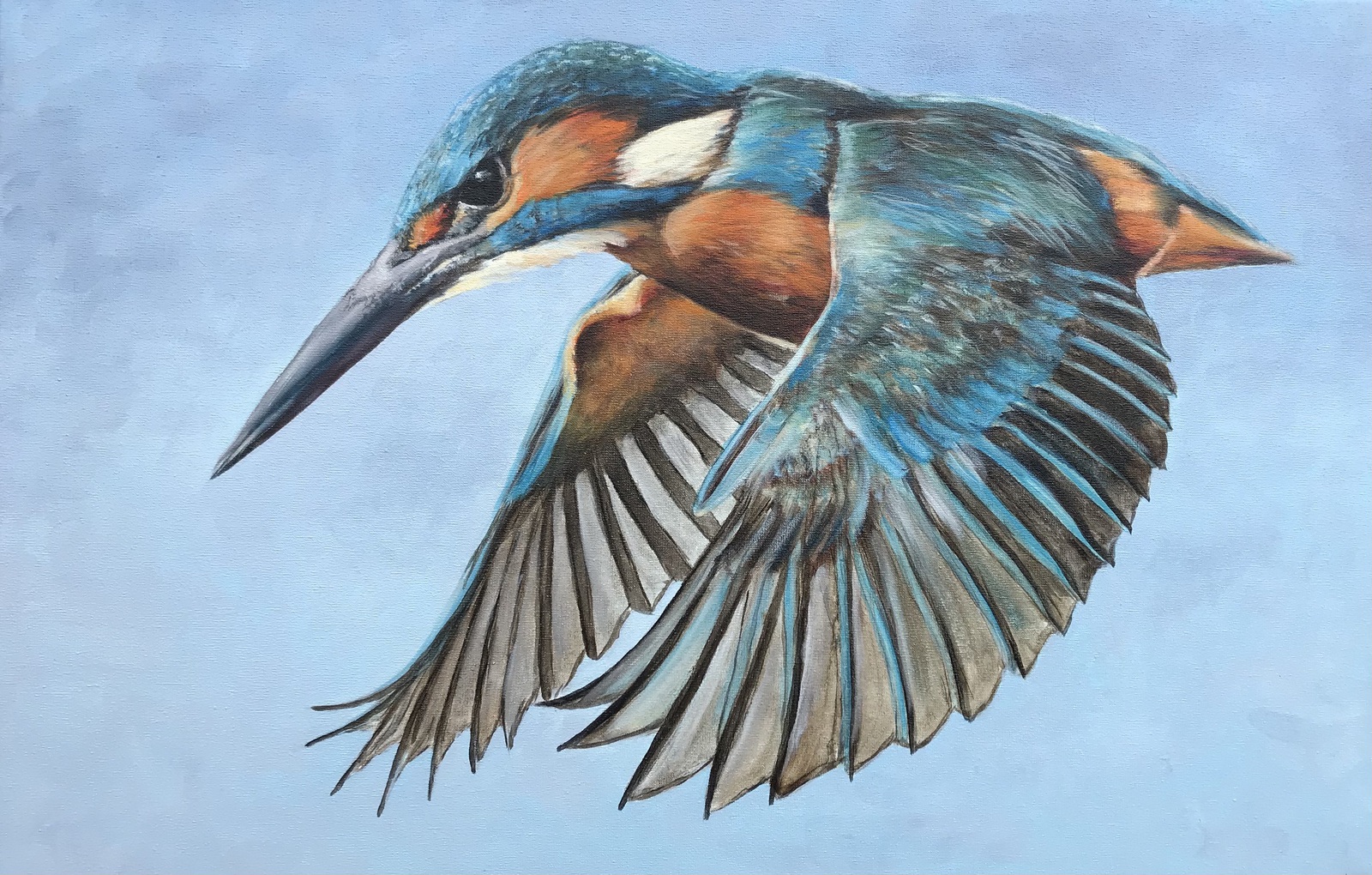 Vliegende ijsvogel 