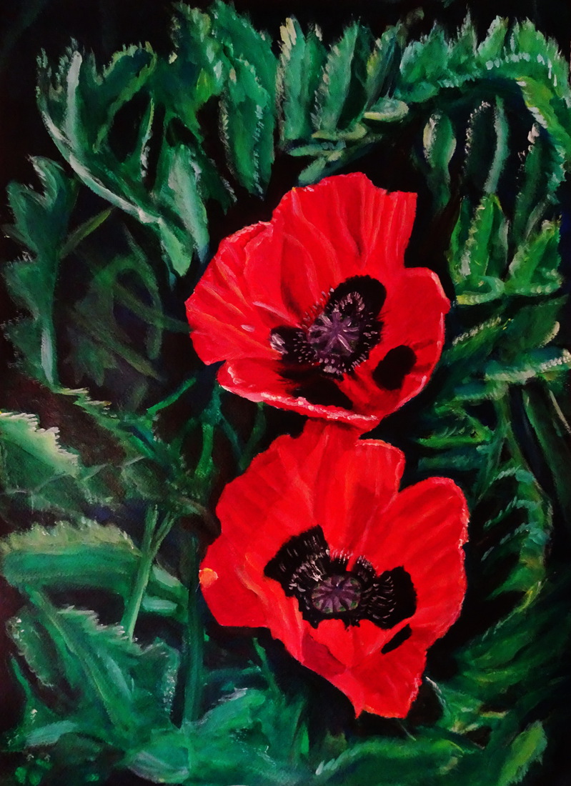 Papavers
