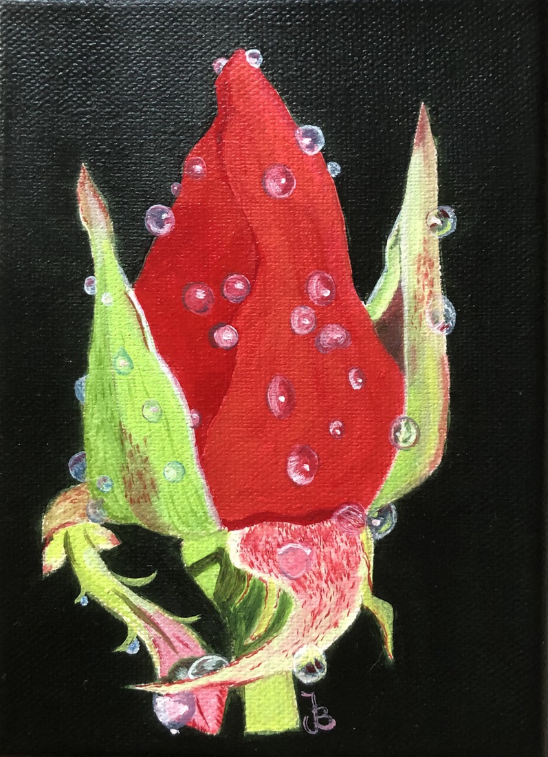 Roos met waterdruppels