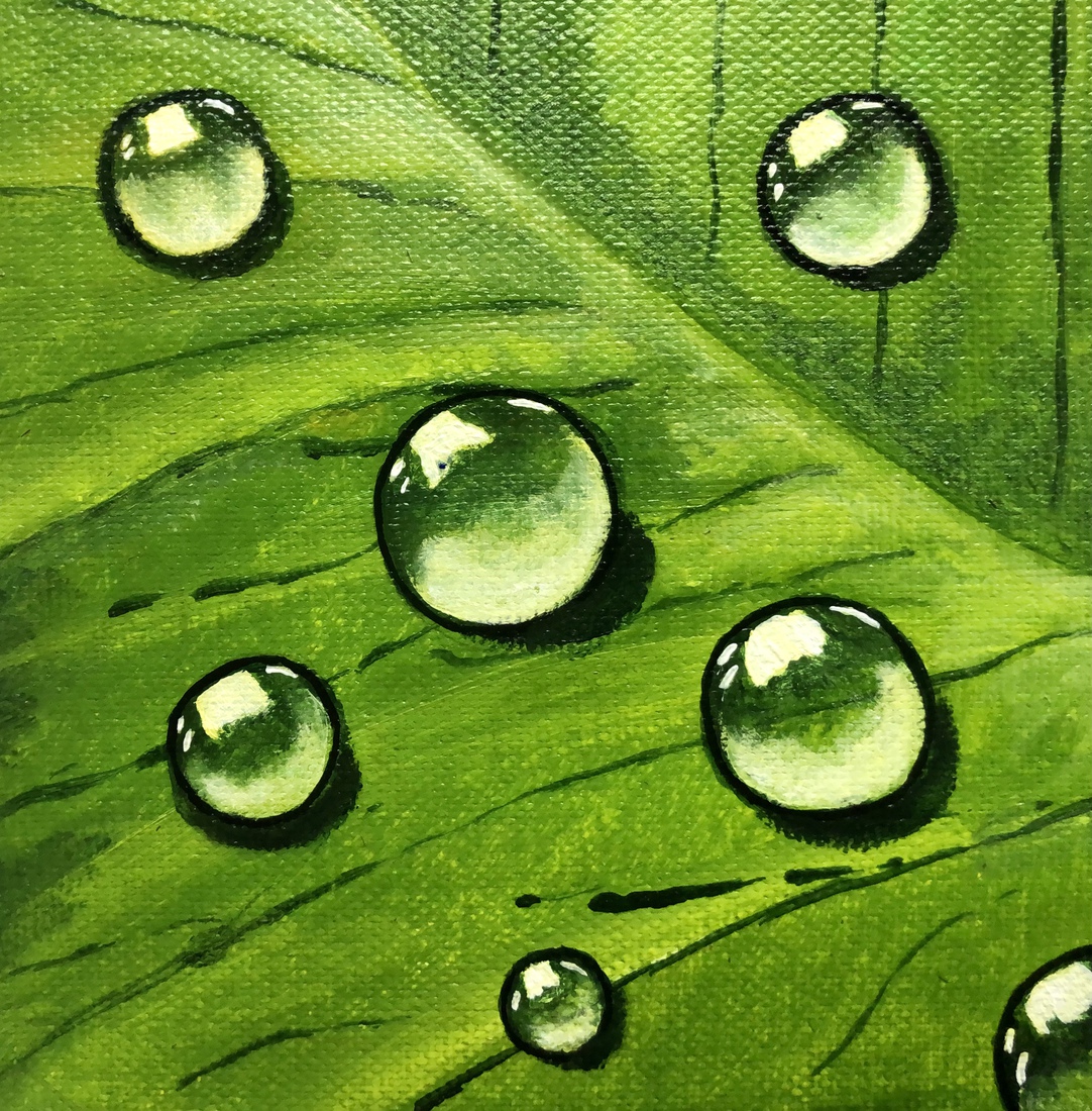 Waterdruppels op blad