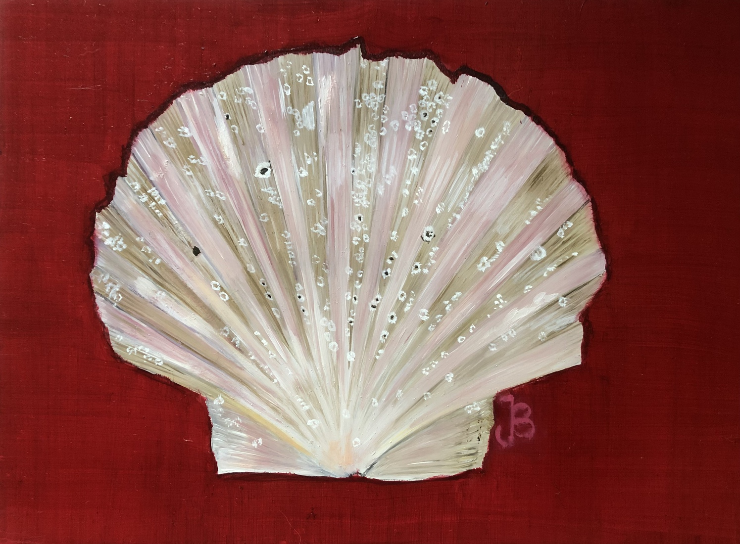 Schelp op rood kleed