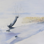 Landschappen met sneeuw. Hier probeer ik de serene stilte van een sneeuw landschap weer te geven.