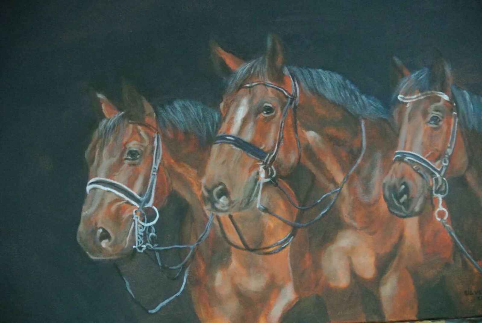 3 Paarden