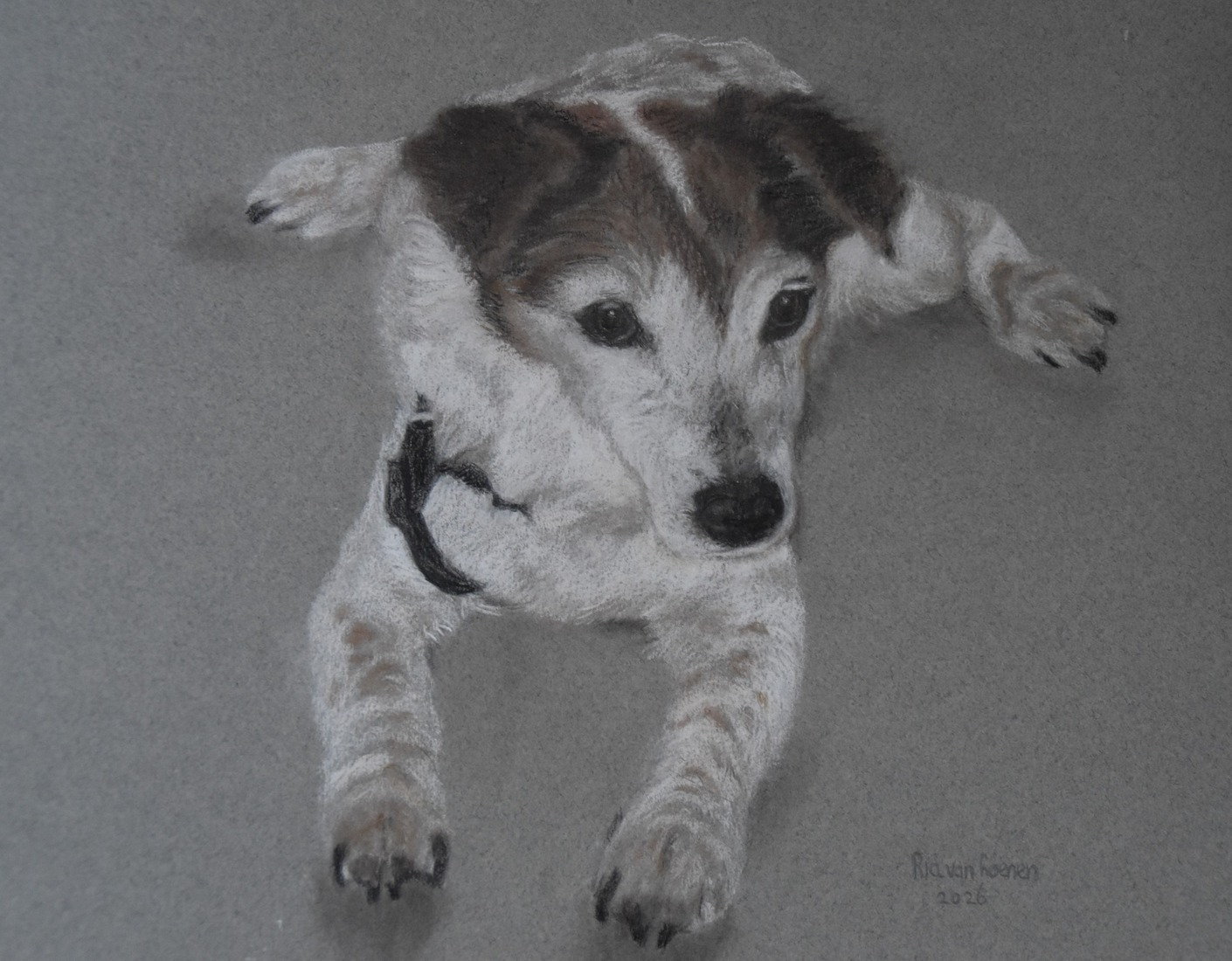 Hond (opdracht)
