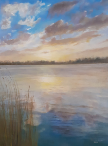 Verschillende soorten landschappen en natuur.