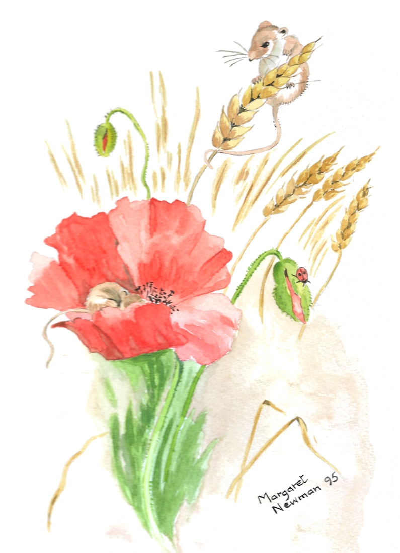 Poppies and mice
