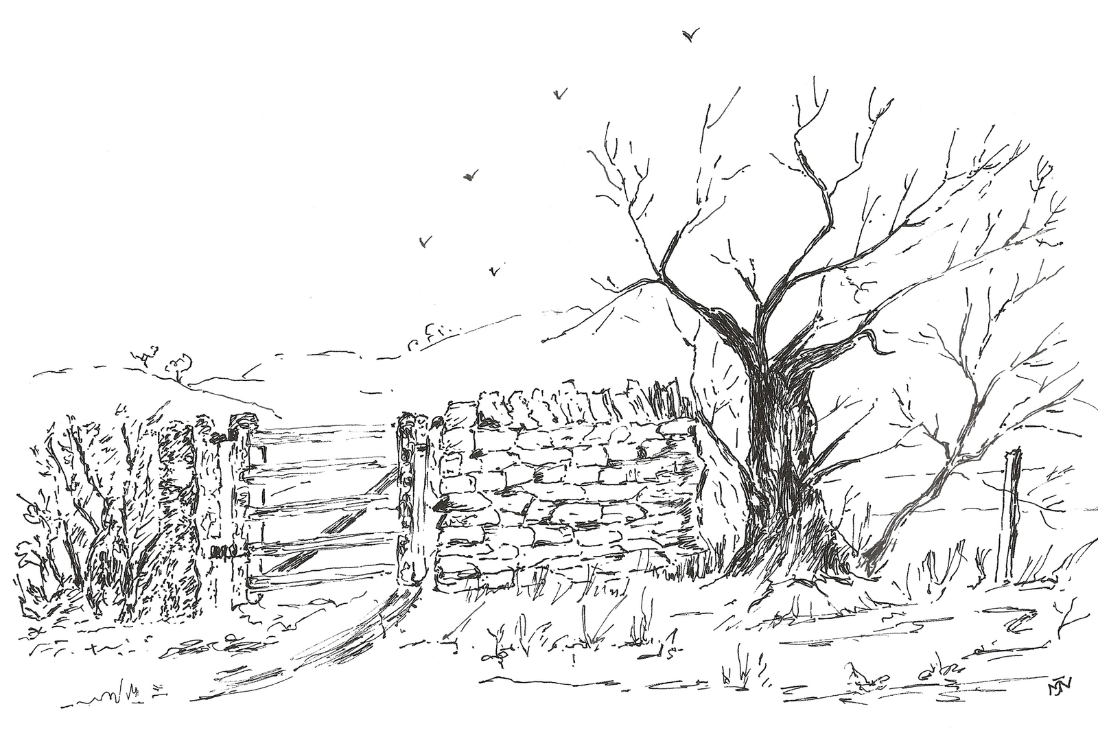 Dry stone wall and old gate