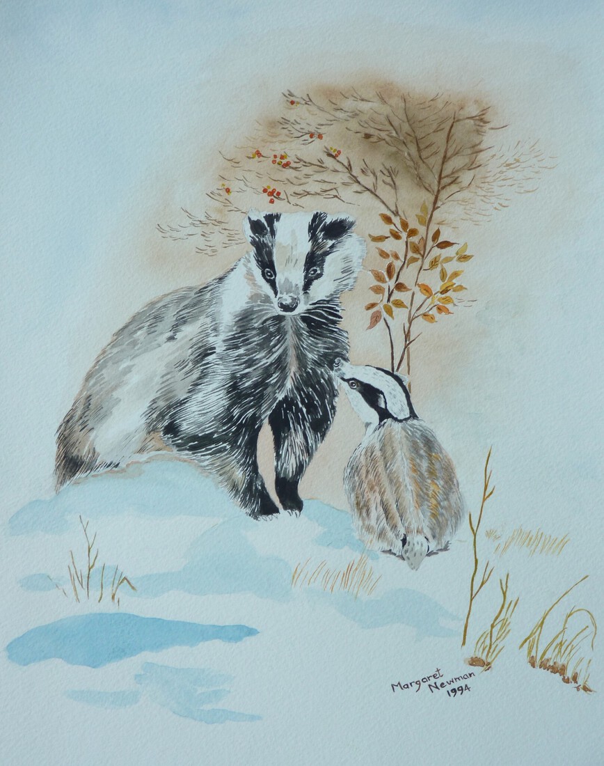 Badgers