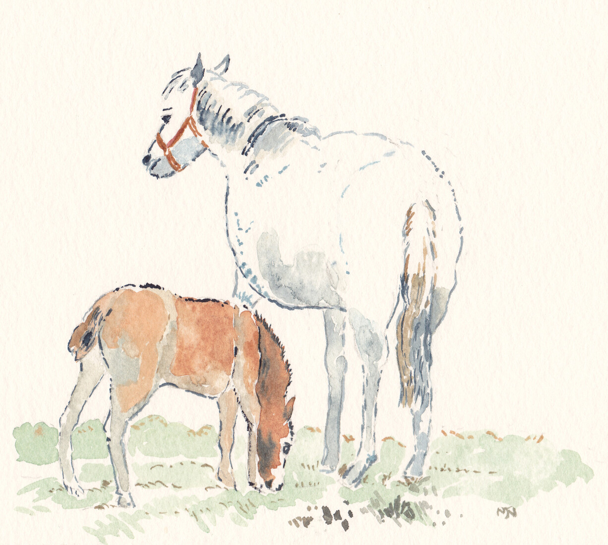 Horse and foal