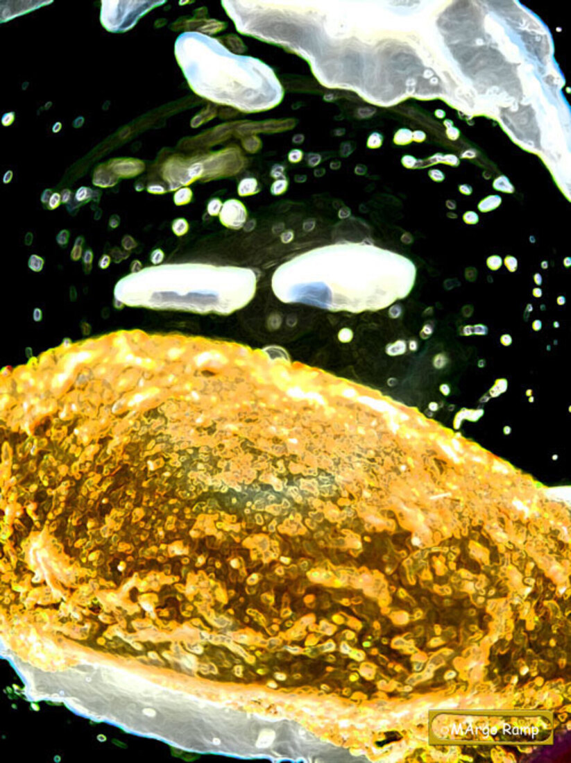 Bevroren SuperNova 2 Fluistering van Licht